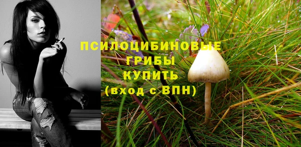 соль курить ск Корсаков