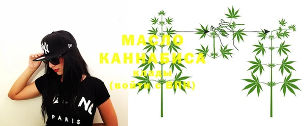 индика Кулебаки