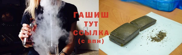 индика Кулебаки