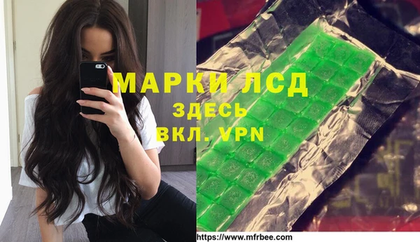 индика Кулебаки