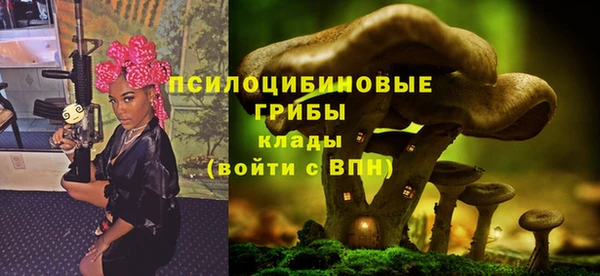 соль курить ск Корсаков