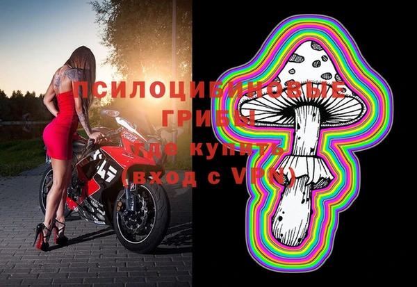 мет Коряжма