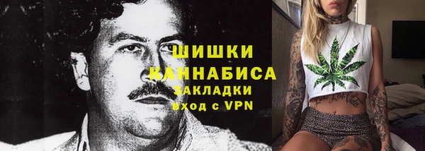 индика Кулебаки