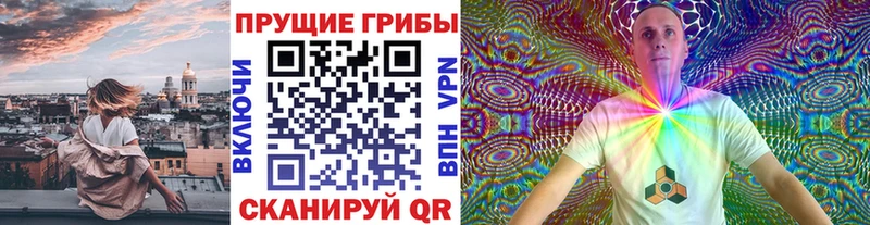 Псилоцибиновые грибы мухоморы  где купить наркоту  Омутнинск 
